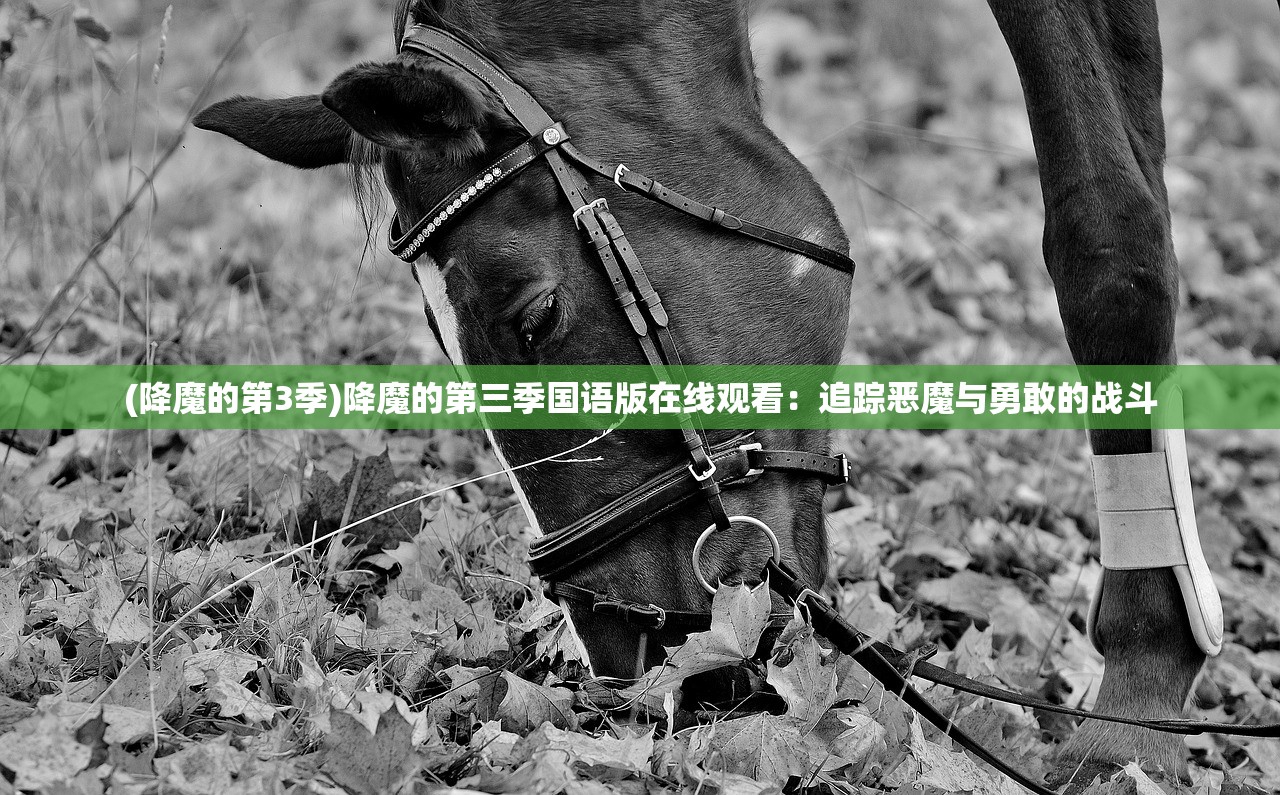 (不思议地下城满v版兑换码)不思议地下城满v版，深度探索与独特体验
