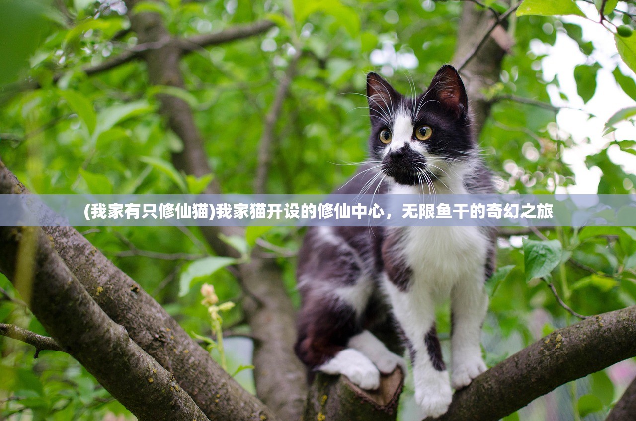 (我家有只修仙猫)我家猫开设的修仙中心，无限鱼干的奇幻之旅