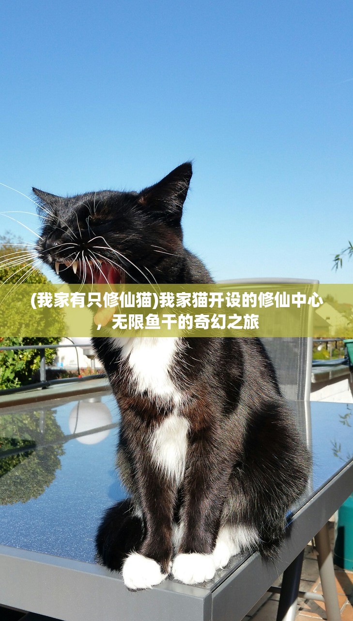 (我家有只修仙猫)我家猫开设的修仙中心，无限鱼干的奇幻之旅