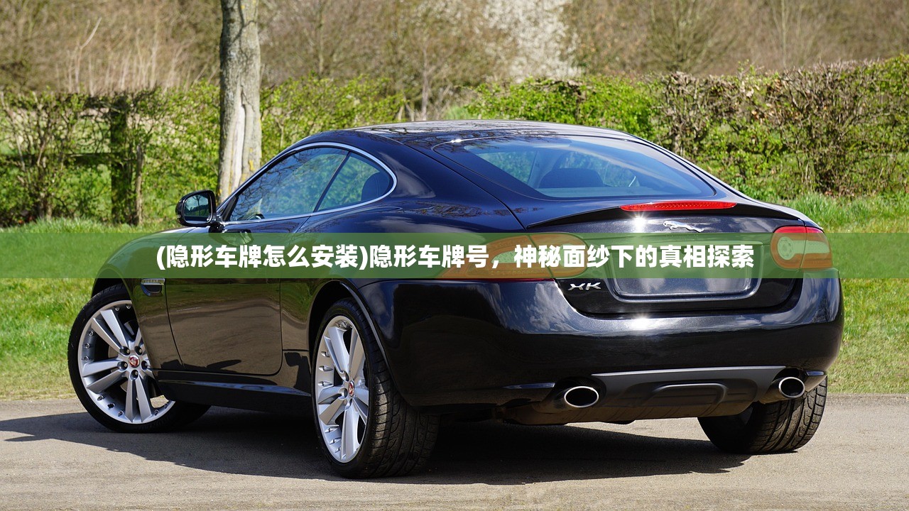 (义战龙城可以赚钱吗)关于义战龙城激活码的探寻与解析