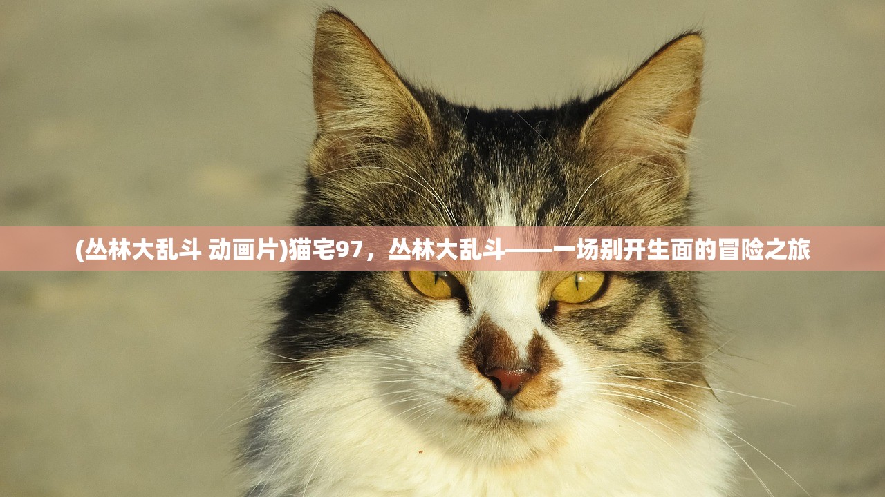 (丛林大乱斗 动画片)猫宅97，丛林大乱斗——一场别开生面的冒险之旅