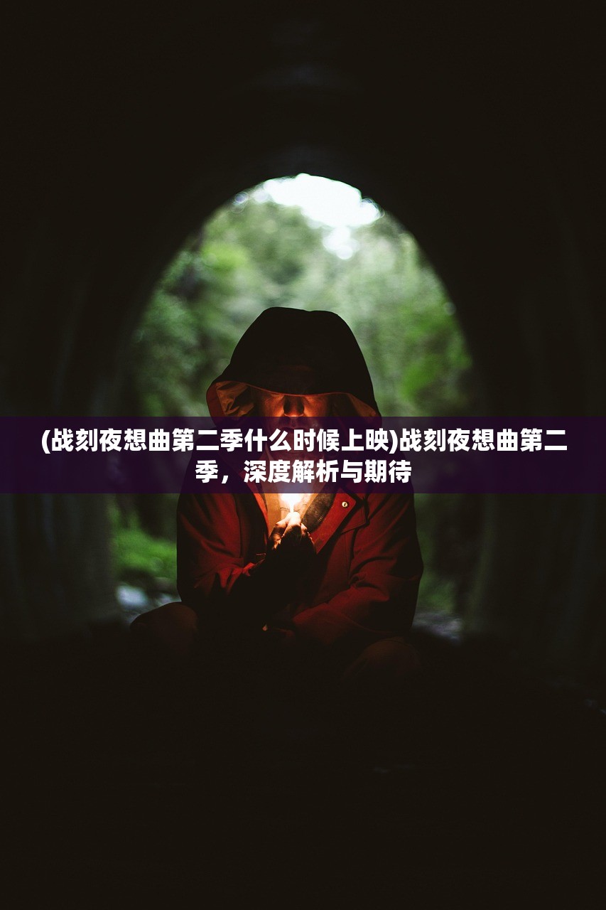 (战刻夜想曲第二季什么时候上映)战刻夜想曲第二季，深度解析与期待