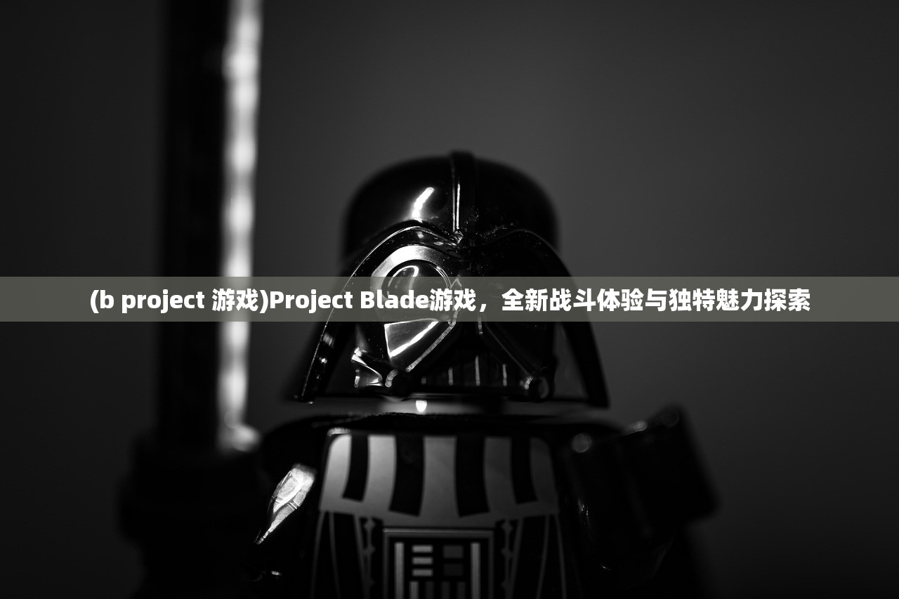 (b project 游戏)Project Blade游戏，全新战斗体验与独特魅力探索