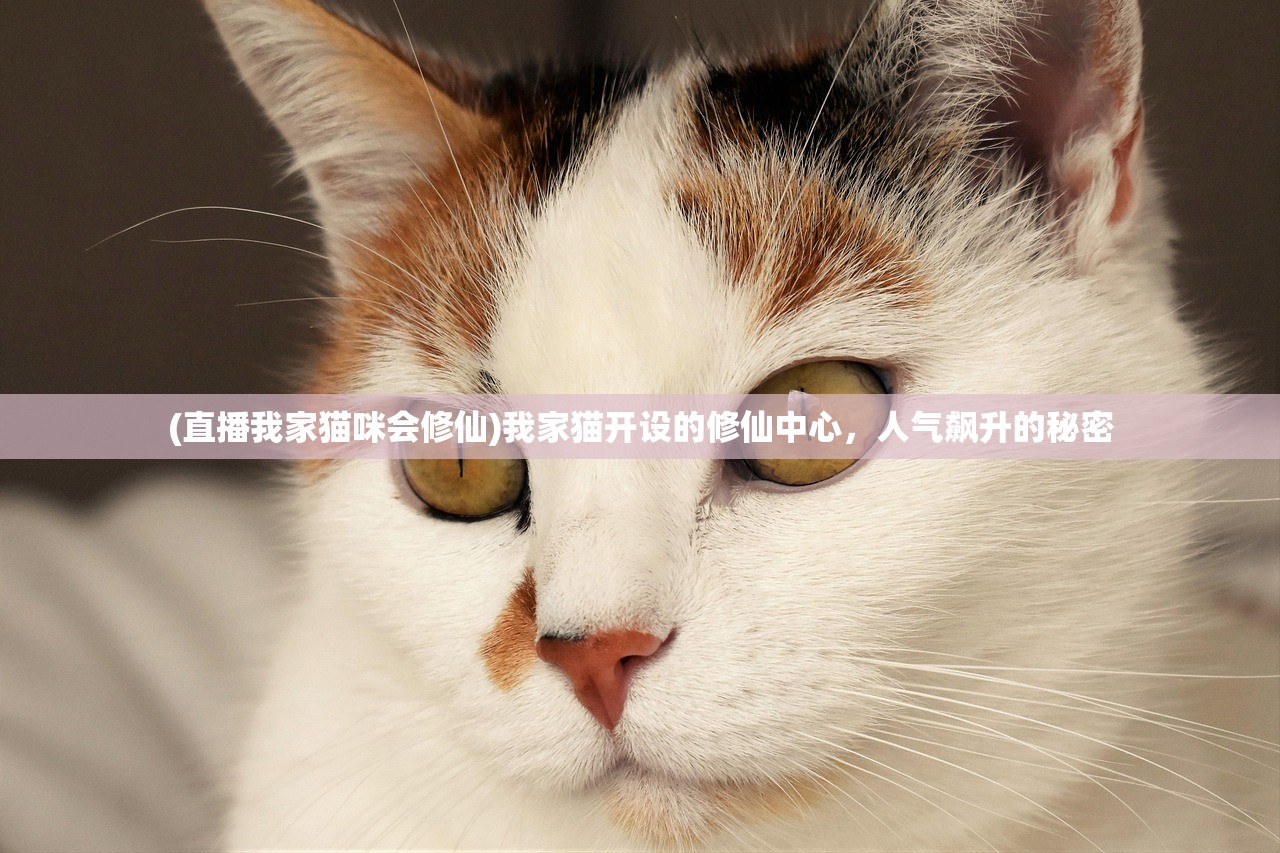 (直播我家猫咪会修仙)我家猫开设的修仙中心，人气飙升的秘密