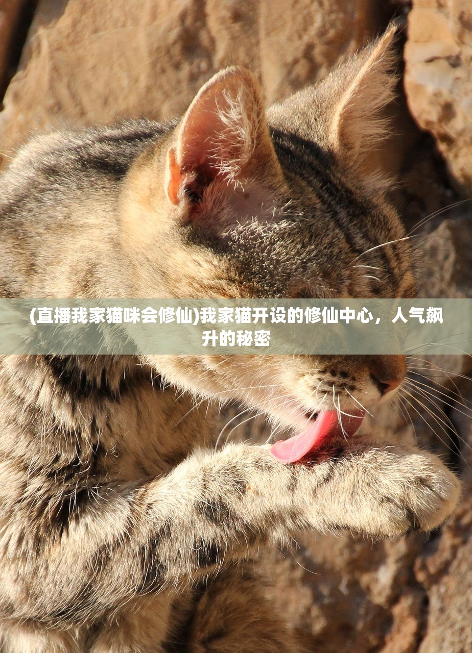 (直播我家猫咪会修仙)我家猫开设的修仙中心，人气飙升的秘密