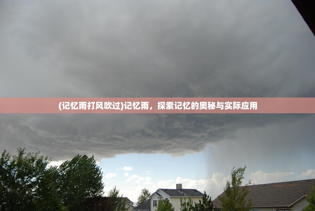 (记忆雨打风吹过)记忆雨，探索记忆的奥秘与实际应用