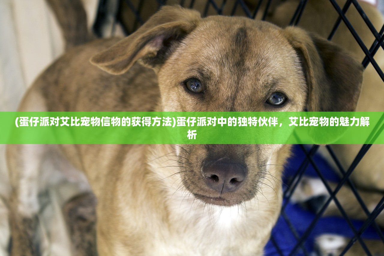 (反转ulb)反转21克，解锁全部章节的深度解读