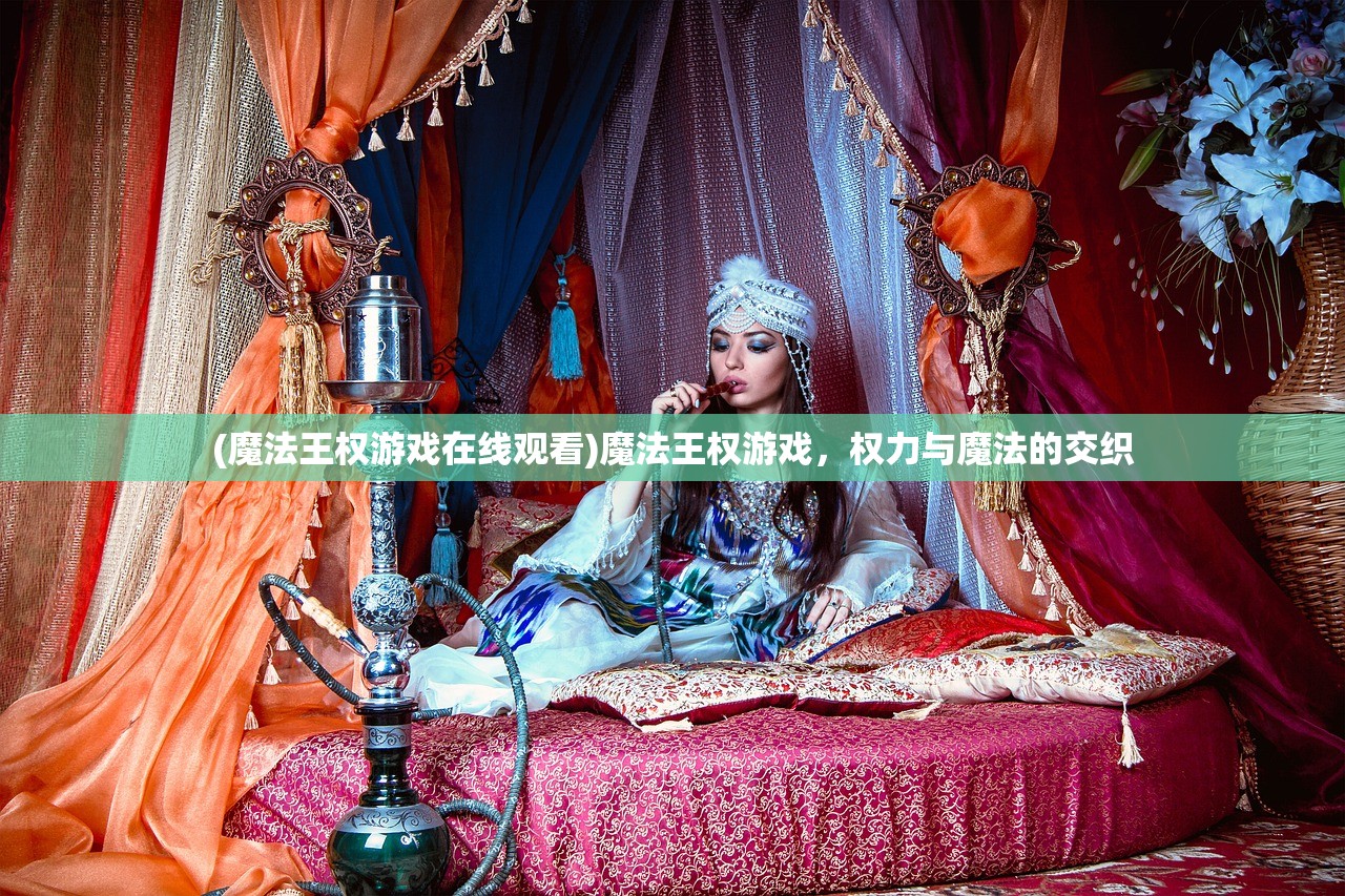 (魔法王权游戏在线观看)魔法王权游戏，权力与魔法的交织