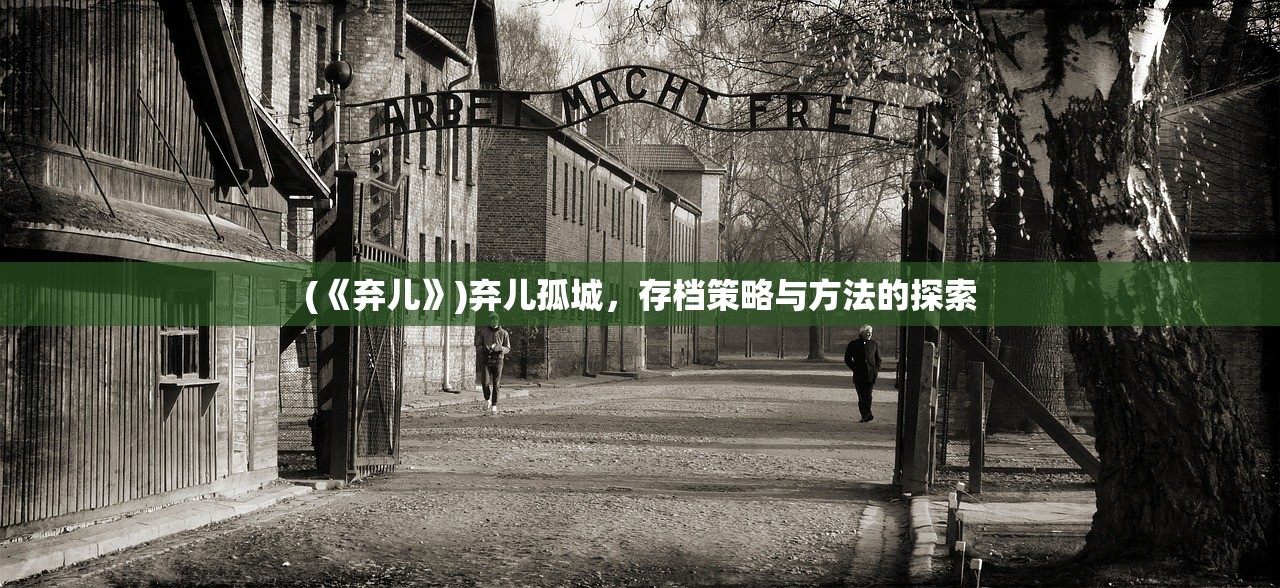 (《弃儿》)弃儿孤城，存档策略与方法的探索