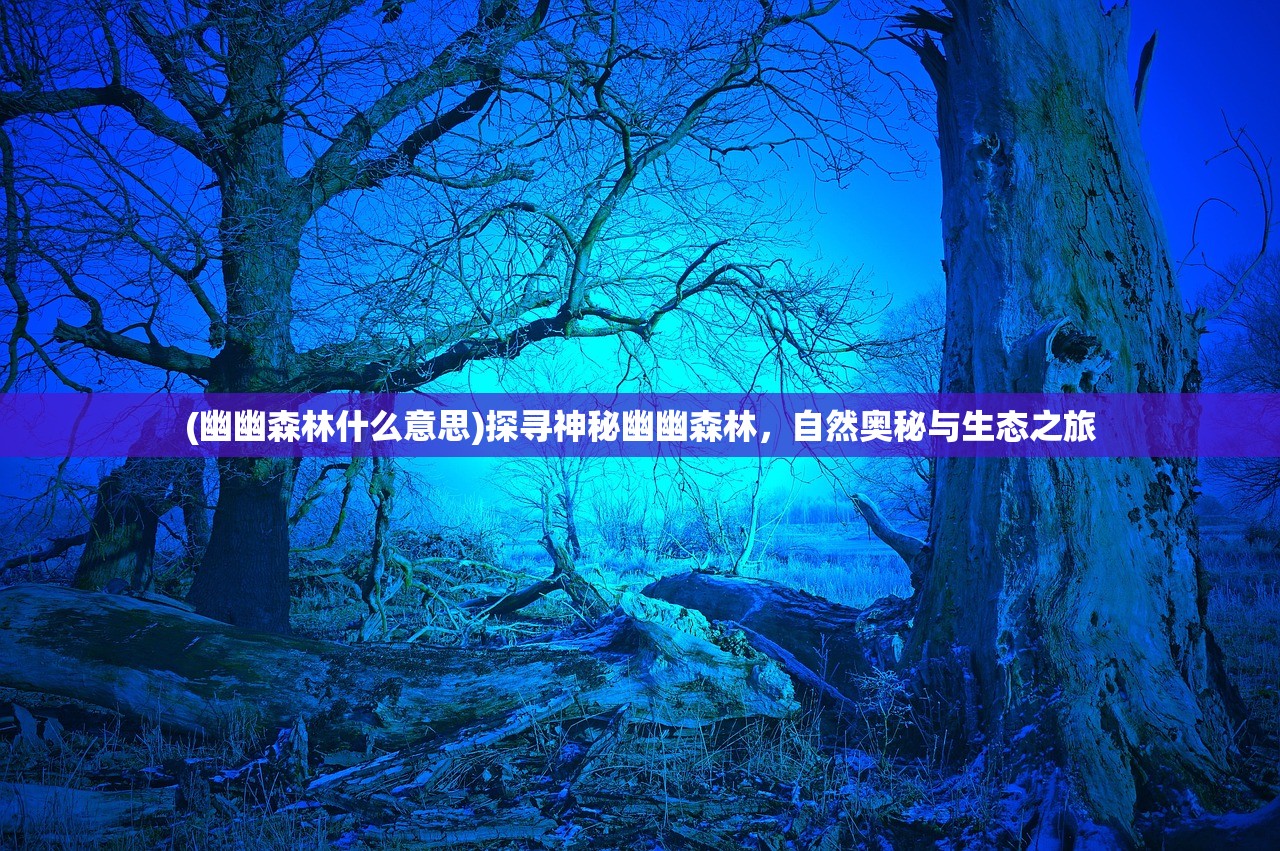 (幽幽森林什么意思)探寻神秘幽幽森林,自然奥秘与生态之旅 (幽幽森林什么意思)探寻神秘幽幽森林,自然奥秘与生态之旅