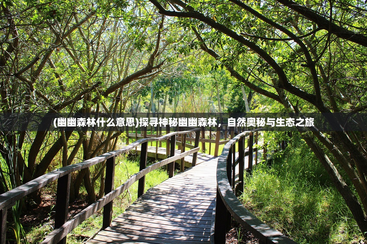 (幽幽森林什么意思)探寻神秘幽幽森林,自然奥秘与生态之旅 (幽幽森林什么意思)探寻神秘幽幽森林,自然奥秘与生态之旅