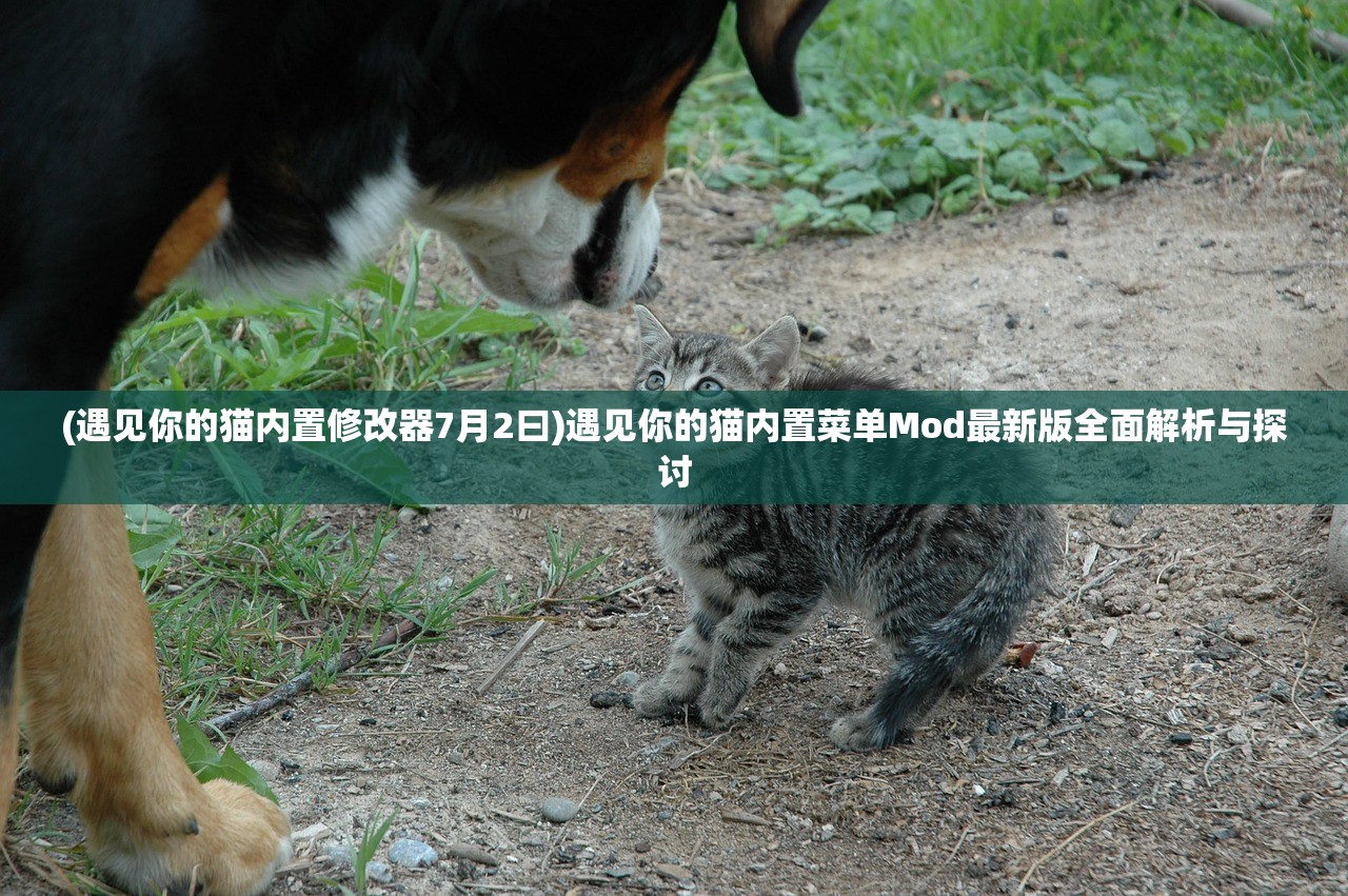 (遇见你的猫内置修改器7月2曰)遇见你的猫内置菜单Mod最新版全面解析与探讨