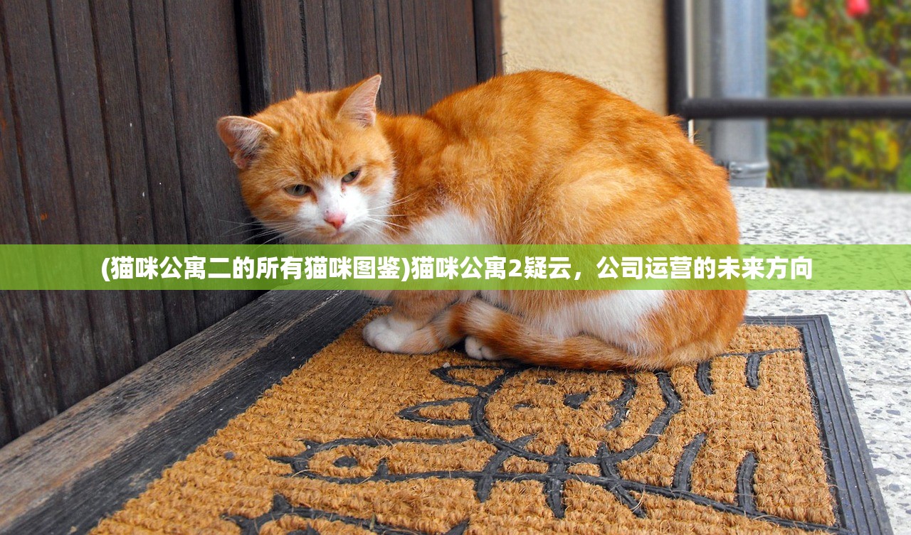 (猫咪公寓二的所有猫咪图鉴)猫咪公寓2疑云，公司运营的未来方向