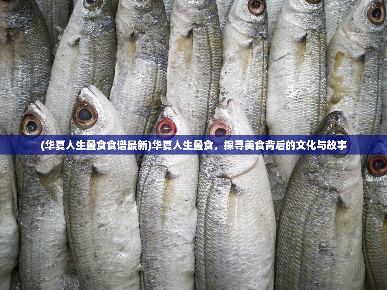 (华夏人生叠食食谱最新)华夏人生叠食，探寻美食背后的文化与故事