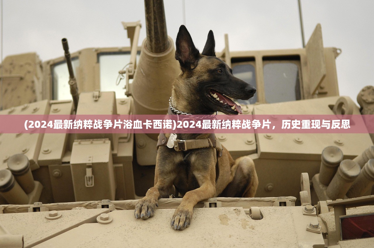 (2024最新纳粹战争片浴血卡西诺)2024最新纳粹战争片，历史重现与反思