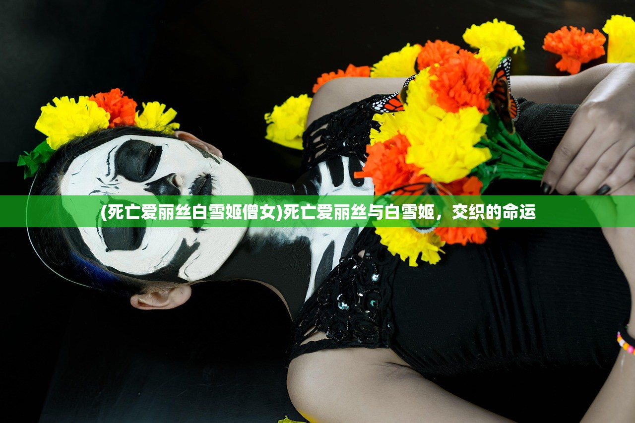 (死亡爱丽丝白雪姬僧女)死亡爱丽丝与白雪姬,交织的命运 (死亡爱丽丝白雪姬僧女)死亡爱丽丝与白雪姬,交织的命运