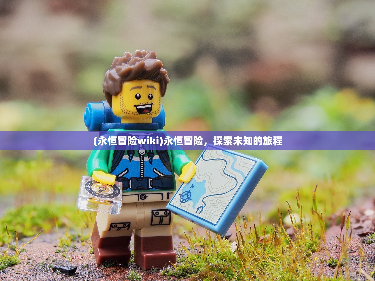 (永恒冒险wiki)永恒冒险,探索未知的旅程 (永恒冒险wiki)永恒冒险,探索未知的旅程